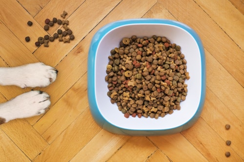 Premium Dog Food